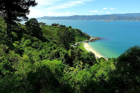 Te Motu Kairangi - Miramar Ecological Restoration