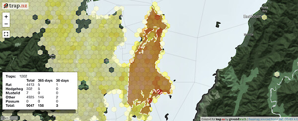 You can see or join projects near you. Predator Free Miramar’s results can be seen here. Image credit: Trap.NZ.