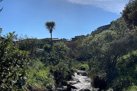 Ōwhiro Bay Stream Trapping Group