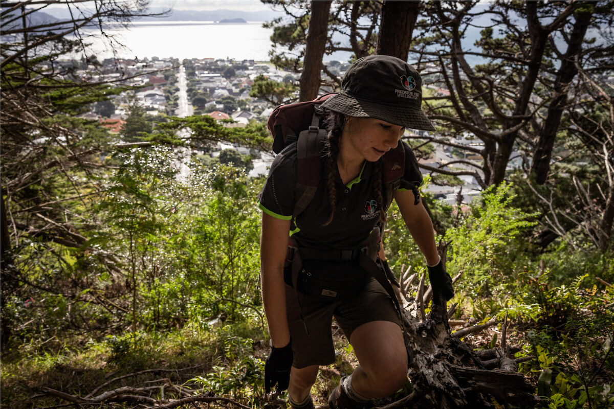 Emily Wotton, an employee of Predator Free Wellington, during a trapping session in the bush on the Miramar Peninsula, Wellington, New Zealand on May 5, 2022. Jim Huylebroek for The New York Times.