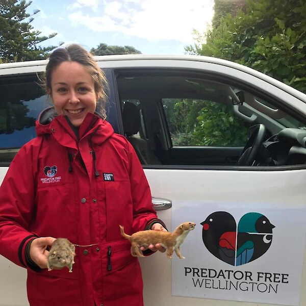 Predator Free Wellington Eradication Technical Officer Emma Rowell with a stuffed weasel and ship rat.