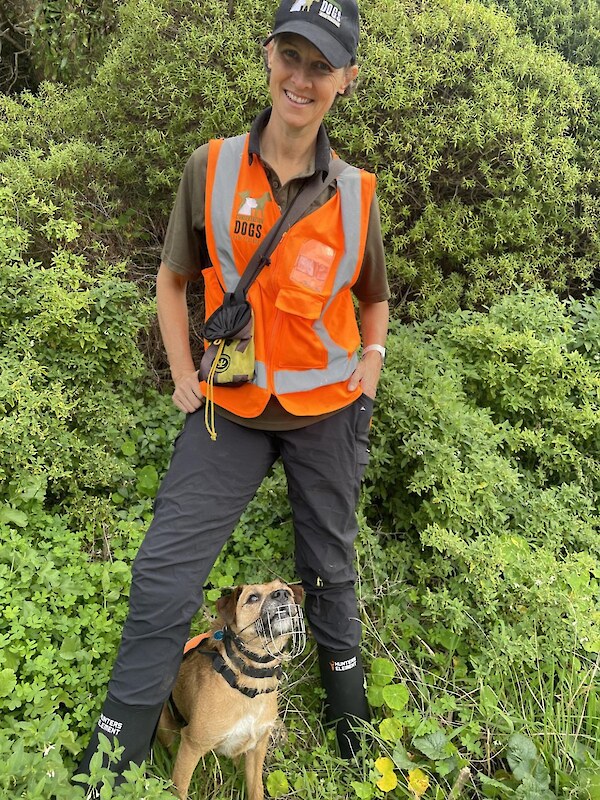 Wellington Predator Free detector dog Rapu and trainer Sally Bain. Photo courtesy The Post