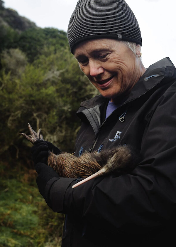 Capital Kiwi chair Dame Kerry Prendergast with kiwi chick Pāpango. Courtesy Sara Tansy / Capital Kiwi