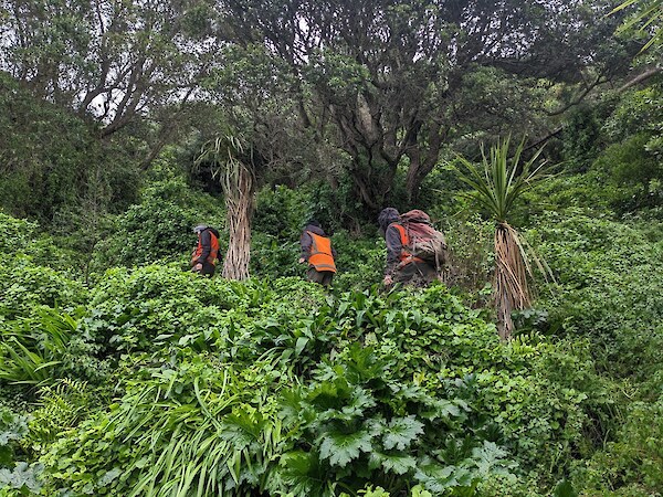 PFW Field Operators in the bush around Breaker Bay