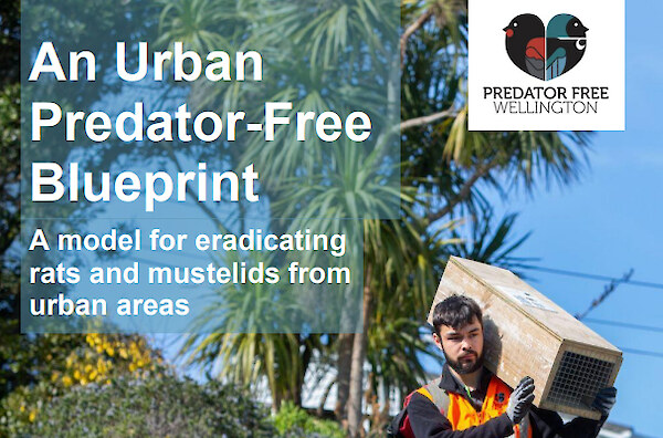 Our urban predator free blueprint